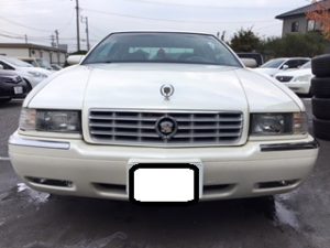 ｴﾙﾄﾞﾗﾄﾞ②