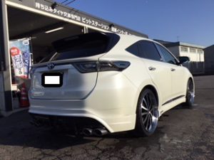 ﾊﾘｱｰ④